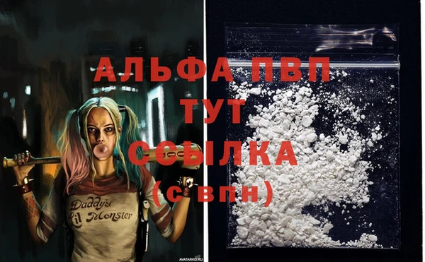 прущие крисы Магас