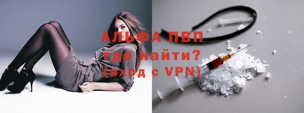 прущие крисы Магас