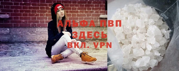прущие грибы Майский