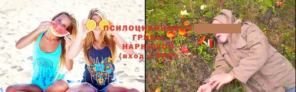 прущие грибы Майский