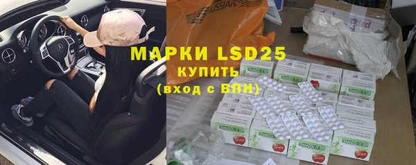 прущие грибы Майский