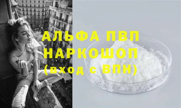 прущие грибы Майский