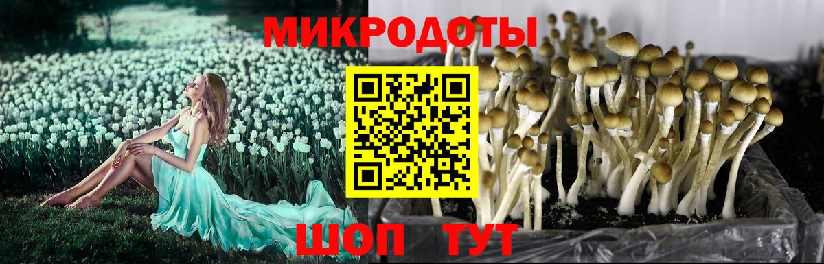 Галлюциногенные грибы мицелий  как найти закладки  Черняховск  Вход с VPN 