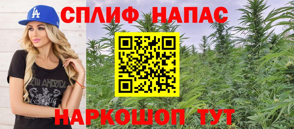 Канабис семена  Вход с VPN  Черняховск  Конопля AK-47 